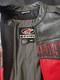 Alpine star Motorcycle Leather Jacket/Medium