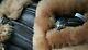 Genuine Sheepskin Flying Pilot IRVIN Bomber Jacket by Higgs ENGLAND RRP £999.99