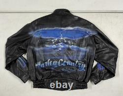 Mens 1995 Harley Davidson Bike Week Hand Painted Leather Motorcycle Jacket 42