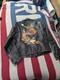 Vintage 60s Donald S. Lavigne Dragon Art Motorcycle Biker Leather Jacket M/L