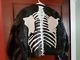 Vintage Vanson Bones Jacket